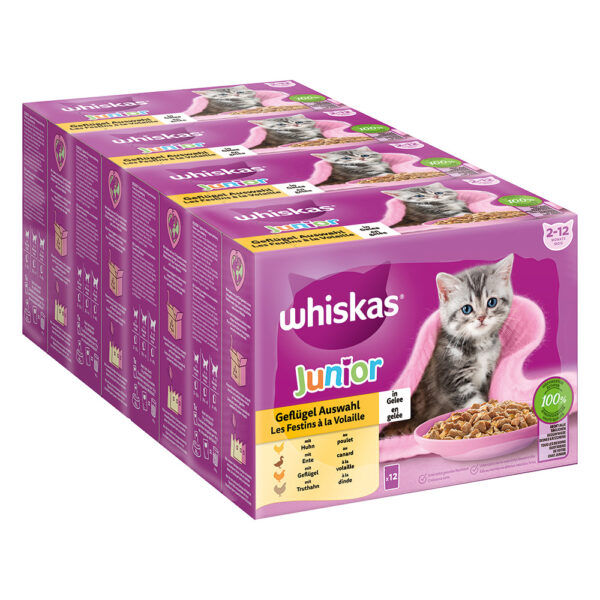 Megapakiet Whiskas Junior w saszetkach, 48 x 85 g - Wybór dań drobiowych w galarecie