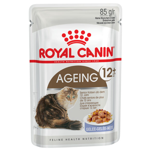 Megapakiet Royal Canin, 24 x 85 g - Ageing +12 w galarecie