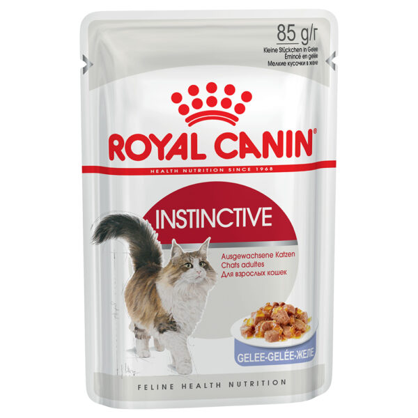 Megapakiet Royal Canin, 24 x 85 g - Instinctive w galarecie