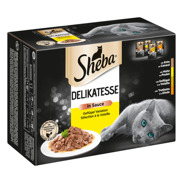 Megapakiet Sheba Delicato, 48 x 85 g - Wybór Drobiowy w sosie