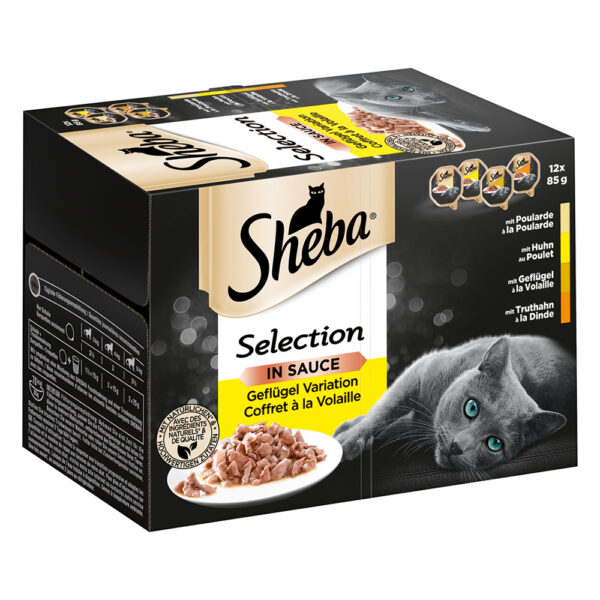 Korzystny pakiet Sheba tacki, 24 x 85 g - Selection in Sauce